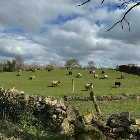 Chestnut Ravensworth * Richmond (North Yorkshire)