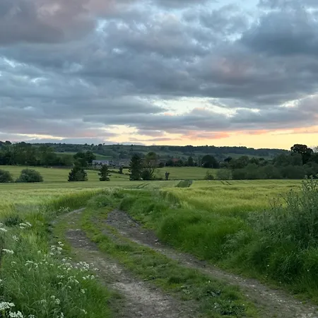 Chestnut Ravensworth